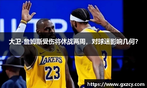 大卫-詹姆斯受伤将休战两周，对球迷影响几何？