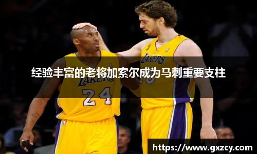 经验丰富的老将加索尔成为马刺重要支柱