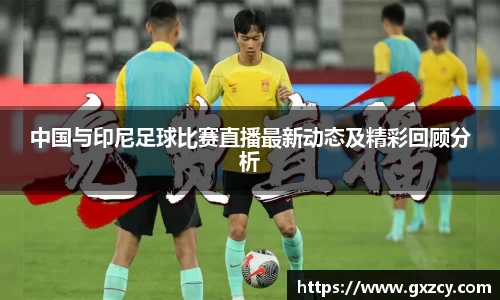 中国与印尼足球比赛直播最新动态及精彩回顾分析