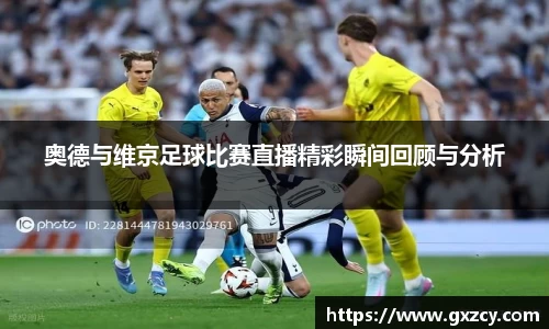 奥德与维京足球比赛直播精彩瞬间回顾与分析
